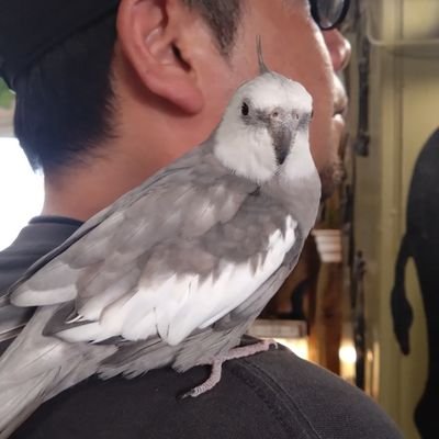 cpTyCHrlfm71575's profile picture. 