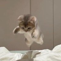 𝑆𝐸𝑁𝐴☾ྀི (@moon_fififi) 's Twitter Profile