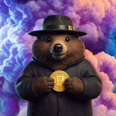 MatthewHalg_'s profile picture. Daily Michael Saylor And $MSTR Updates