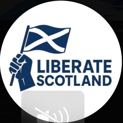 Join https://t.co/vrKWtG9R7v & SALVO & vote Indy4Indy on constituency & ISP on the list