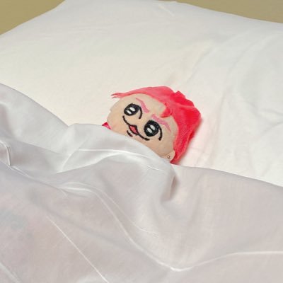 ｽﾞﾝﾄﾞｺおもち(喪中)さんのプロフィール画像