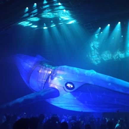 goldenbear_kim's profile picture. 