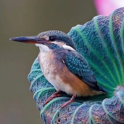 waymaker369 Profile Picture