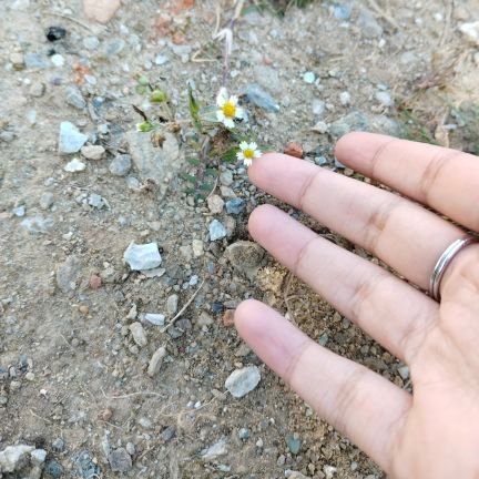 isownow's profile picture. 🧪 Software Testing & Dev | 🚀 AI • Playwright • Selenium • React Native • React JS | 🌱 Personal Wellness | 📘 Accountability
#100DaysOfCode #SleepChallenge