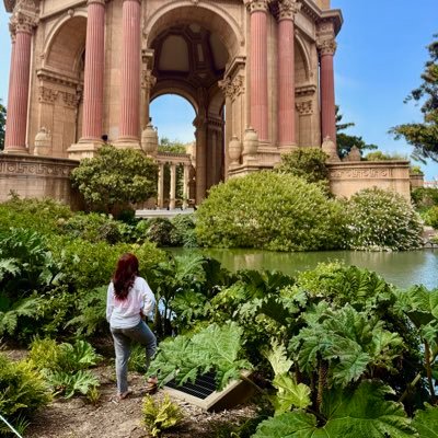 michhrra's profile picture. polarity creates clarity