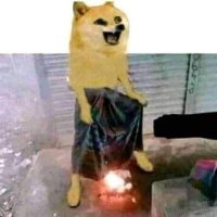 Panda (@fucking_comment) 's Twitter Profile