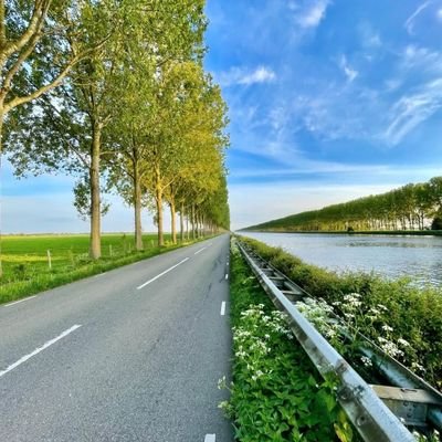 Ryno_deMendonca's profile picture. Perfectionist to a fault but highly organized, agnostic and supporter of true equility. Married to my better half an avid gamer 😁.