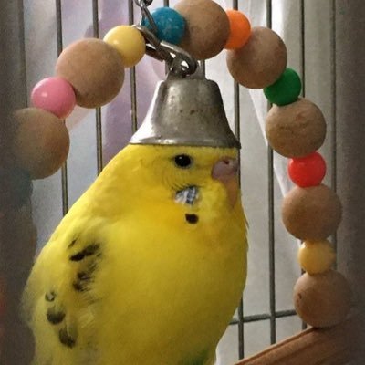 SlINJl's profile picture. 