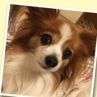 ルリア (@afxfptnx2ek8c55) 's Twitter Profile