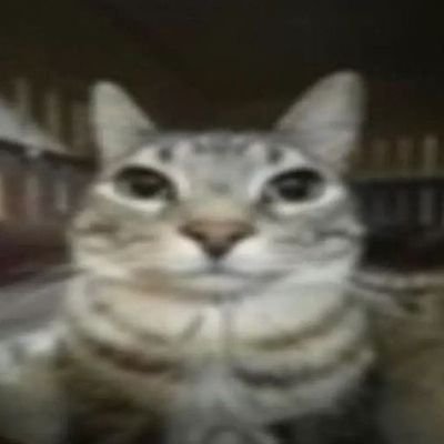 yoshiさんのプロフィール画像