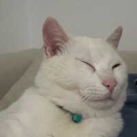 sabır (@sbrvrs) 's Twitter Profile