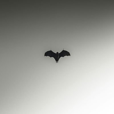 Karanvr07's profile picture. I aim to be useful.
Useful at a level where the world is better because I existed.