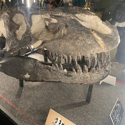 ウェザーさんのプロフィール画像