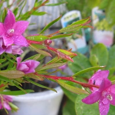 介護福祉士国家資格/信教の自由/趣味:切り絵/岐阜県在住/
家族を愛し💓地域を愛し意見が違う人の気持ちを受け止め愛する事が出来るよう
頑張っています💪😊✨