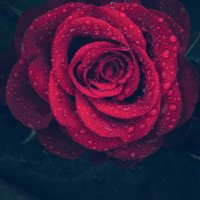 Sam (@sam21684294) 's Twitter Profile Photo Sam (@sam21684294) 's Twitter Profile Photo