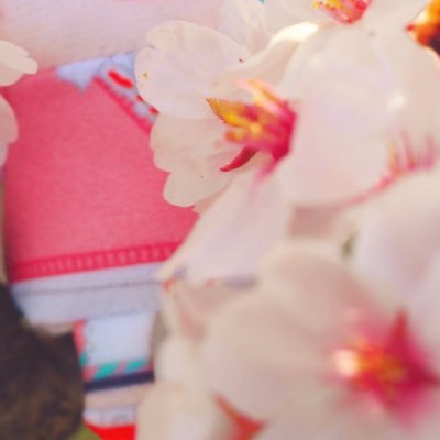 のぺさんのプロフィール画像