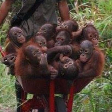 Arbygh's profile picture. Typing...