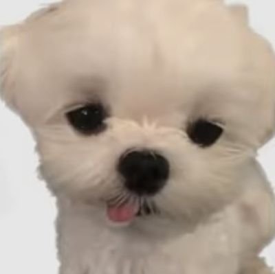 착한사람 좋아해요