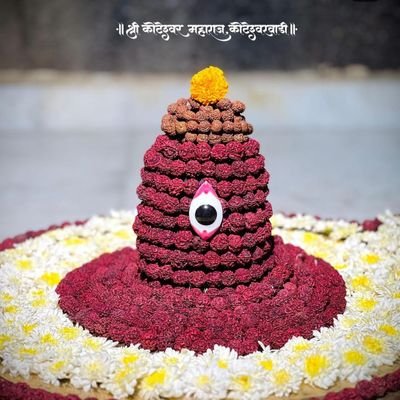 समाज सेवक 🙏 24X7 सेवा मे हाजिर ✌️