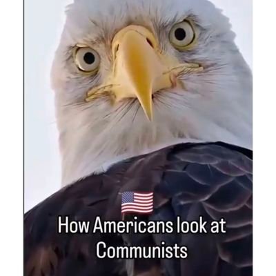 Eunice19626824's profile picture. I'm looking for the love of my life.  It will be special and 🙏 by God for all life