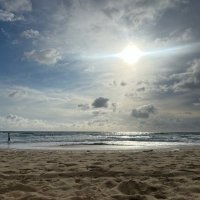 Danny Wyatt (@dwyatt24) 's Twitter Profile