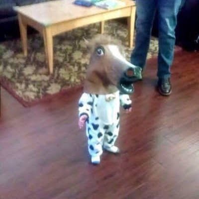 RogerMenegoteJr's profile picture. ...