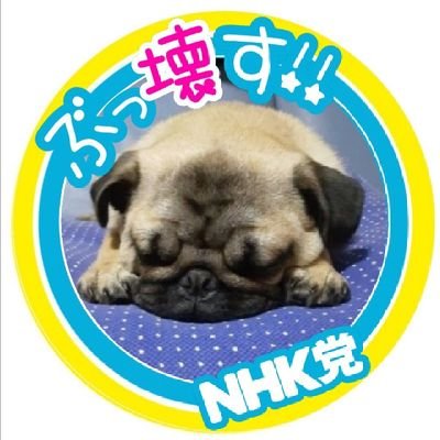 2021、8/18生まれ ひまわりくんの日々を、日記として初めました。おかしゃんから一時も離れない甘えん坊🌻おとしゃんの顔ナメナメ好き 、おかしゃんは歌うたい お父しゃんドラマー、造形 ひまわり8989チャンネル宜しくお願いします。
https://t.co/RiDELlxPSQ