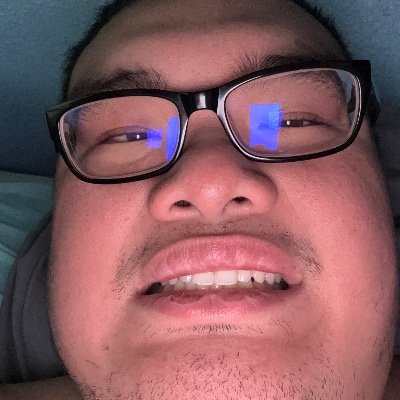 Parrotino191084's profile picture. I am 23 years old