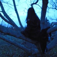 violet (@violetarcturus) 's Twitter Profile