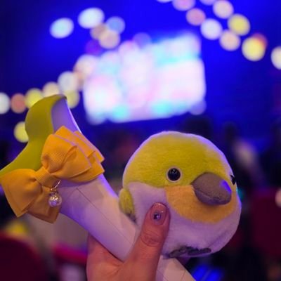 メジロさんのプロフィール画像