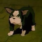 iroxbetom's profile picture. fervent partisan du Dojo Caca | @karminecorp | Madison Beer enjoyer