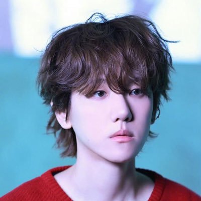 nishigeshaz's profile picture. 