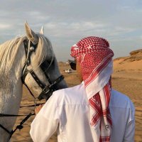 سعيد (@syda380) 's Twitter Profile