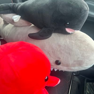 やみたむたむさんのプロフィール画像