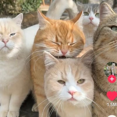 srp__5's profile picture. heaven sent, hell bent