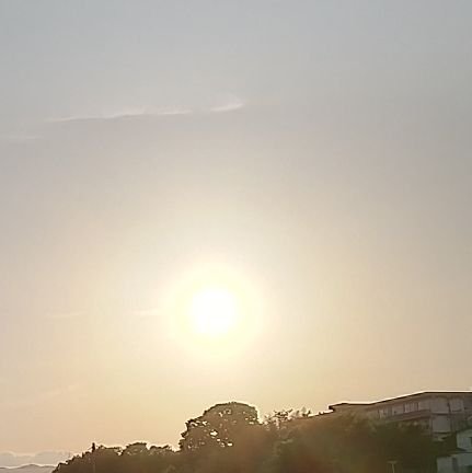 akanechan_pon's profile picture. はじめたばかり。ゲームが大好き。今はパワプロにハマってる野球好きです。