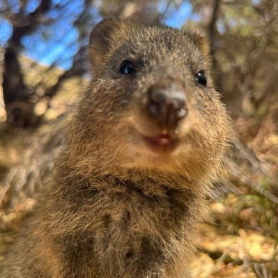 LTddKdo1tp59104's profile picture. 謎解きとマダミスの記録📝メイン