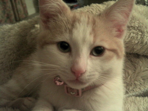 Leanne0201's profile picture. 