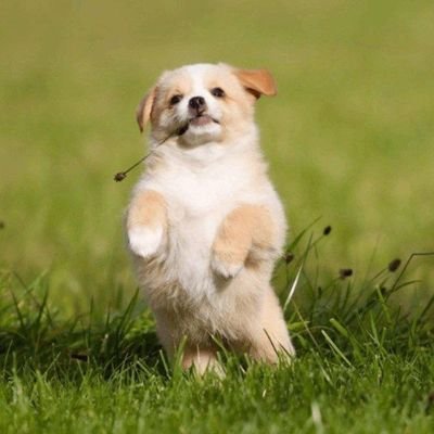 onyebuchiada907's profile picture. 