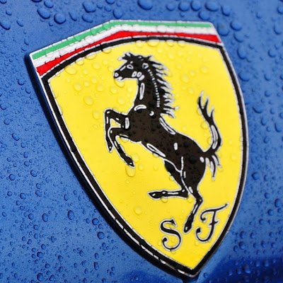 SSimmus96919's profile picture. 
