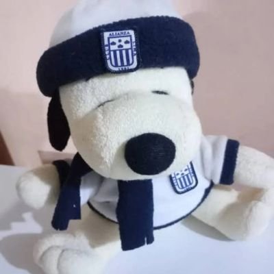 Anasil123's profile picture. un weon que critica fulbooo🖕