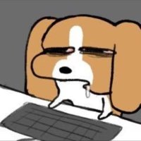 Xiangyan Liu (@dobogiyy) 's Twitter Profile Photo