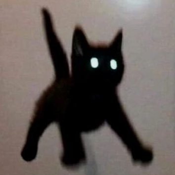 2hy1005's profile picture. 