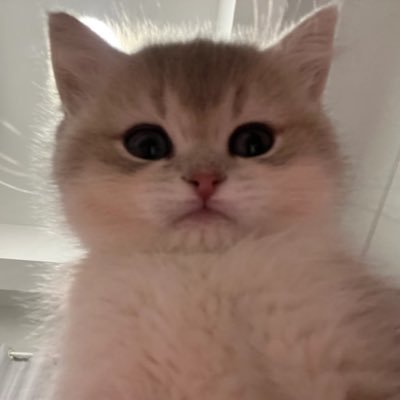 rubyvin_'s profile picture. 