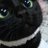 bluehairedbpdvv's profile image