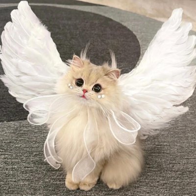 V_Ga_eun's profile picture. Live your life at your own pace. I will wait for a heart-to-heart talk.✨✨✨#여성의취향