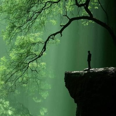 Juma0333's profile picture. Echo-friend, climate activist and sustainability advocate.
Searching for humanity, peace and stability.