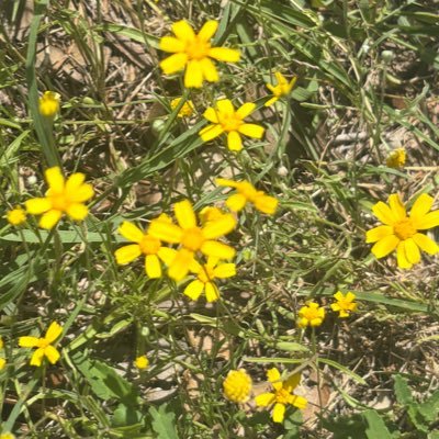 Debbie_anne21's profile picture. 