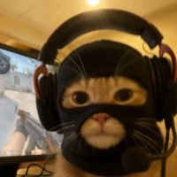 unexpected HS (@unexpected_hs) 's Twitter Profile