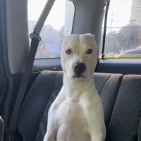 prt (@prtpiste) 's Twitter Profile